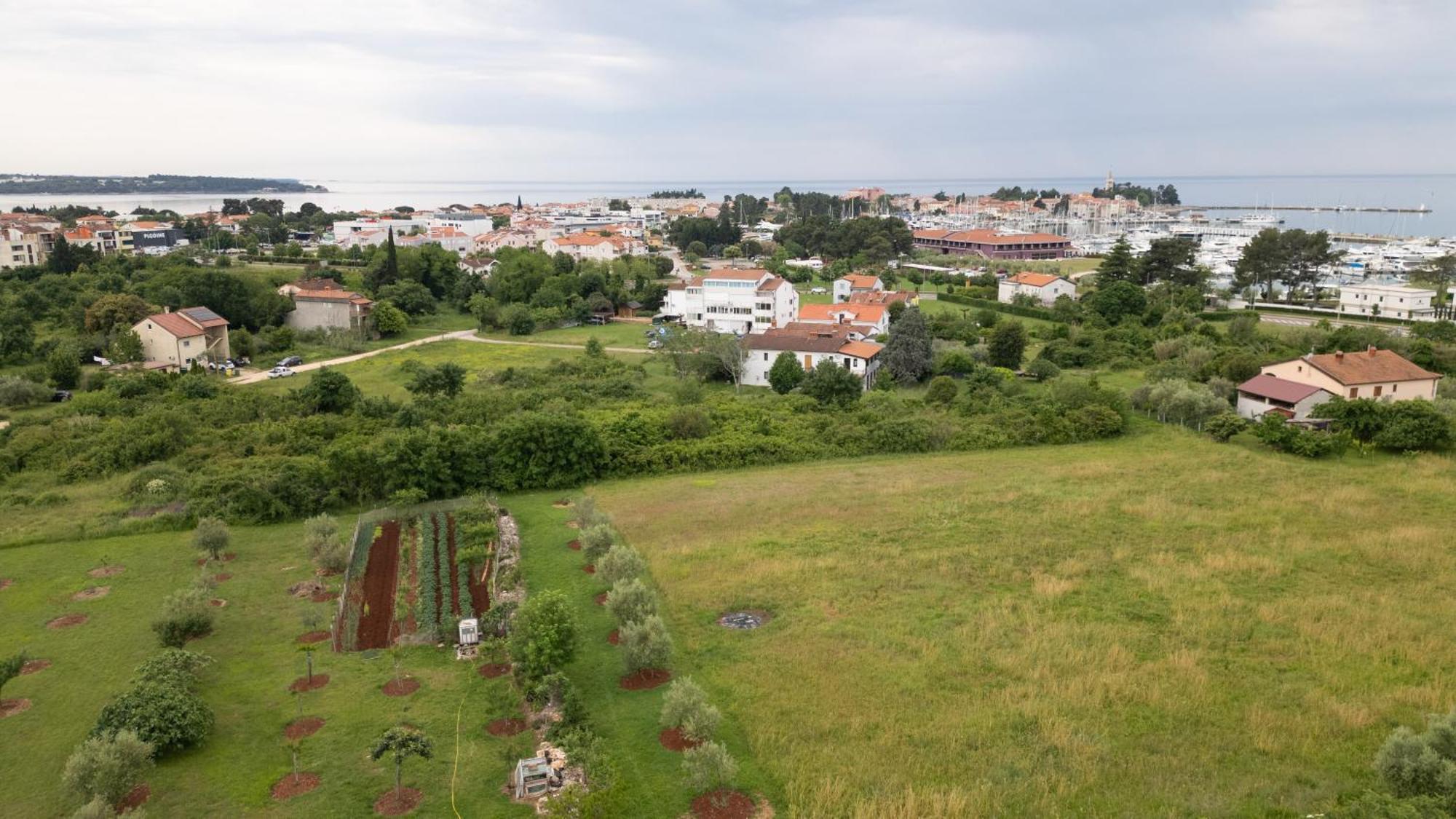 Apartments Mirella Novigrad Istria Dış mekan fotoğraf
